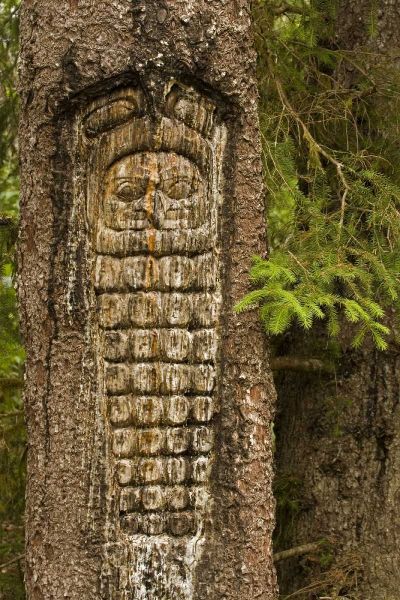 AK, Glacier Bay NP Tree carving of totem